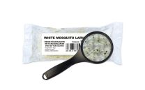 White Mosquito Larvae 180 ml - LIVE