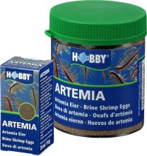 Hobby Artemia Eier 20g