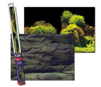 AquaNova kivid/taimed taustakile 60x30cm